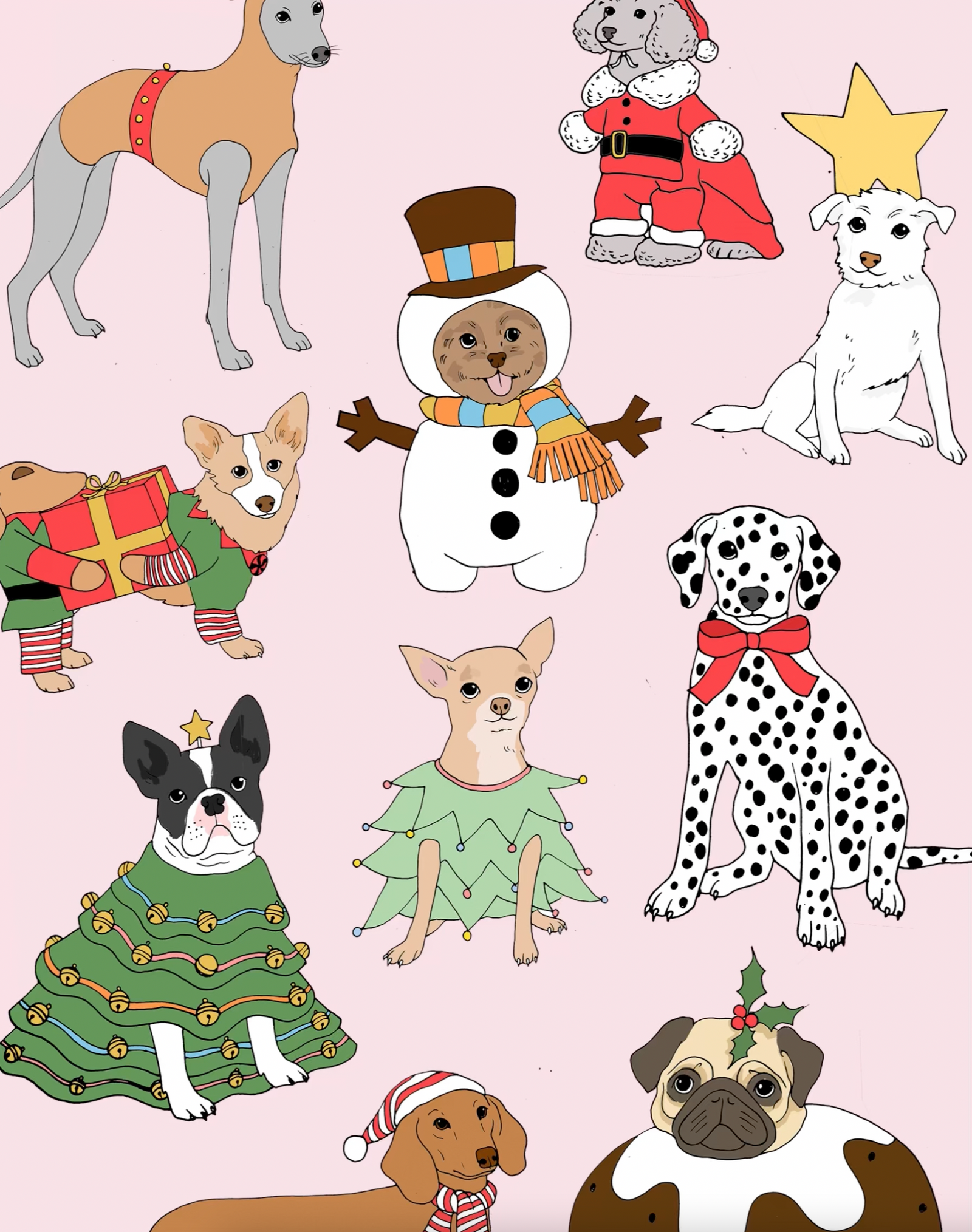 The Karen Mabon Team's Top Picks for Christmas