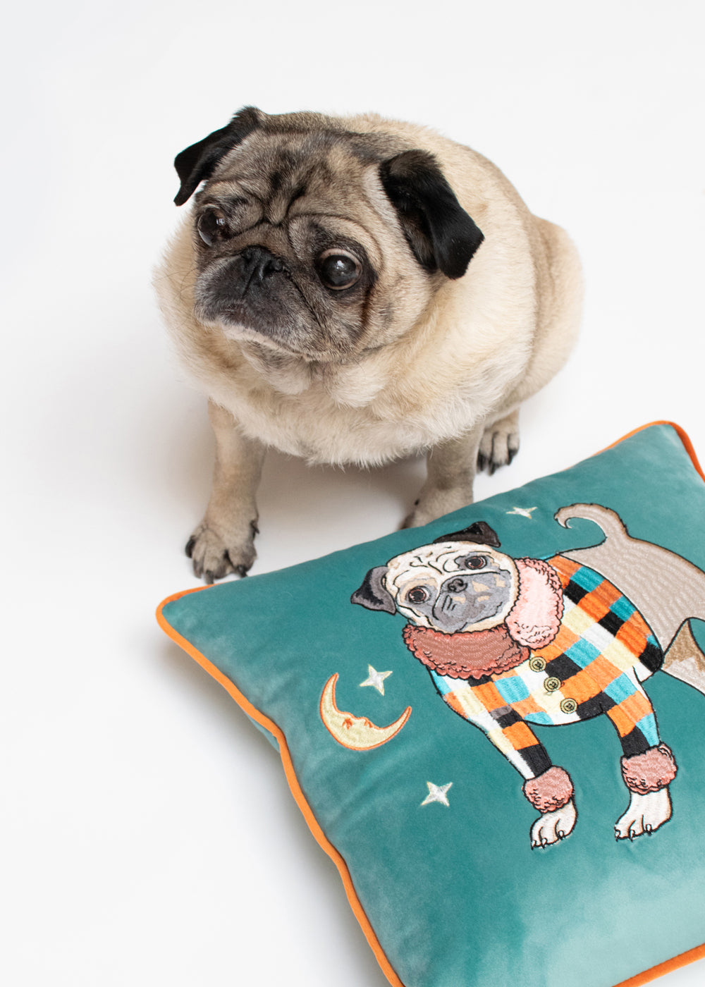 Pug Dog Embroidered Velvet Cushion Cover